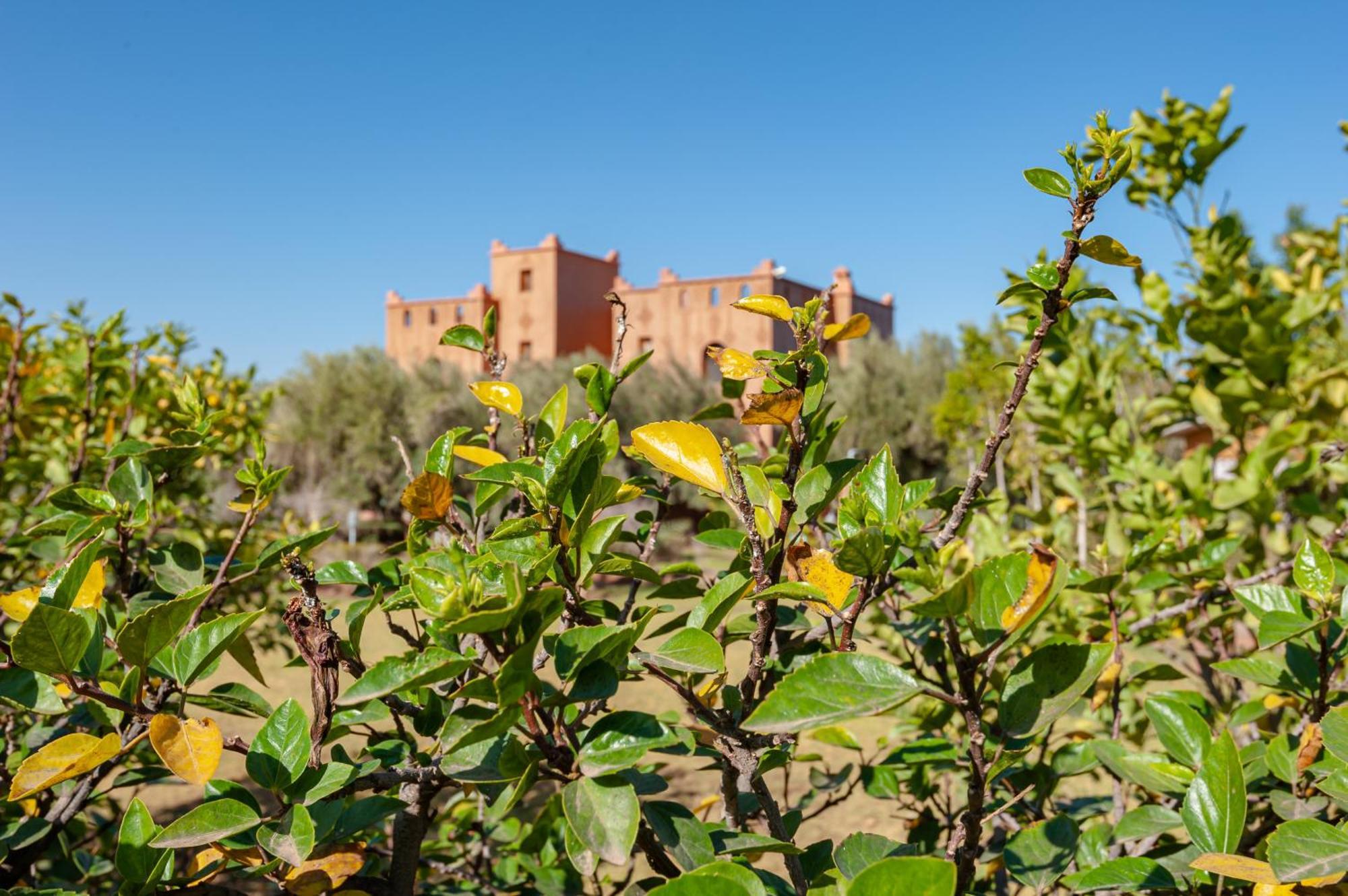 Ferme Sidi Safou & Spa Villa Маракеш Екстериор снимка