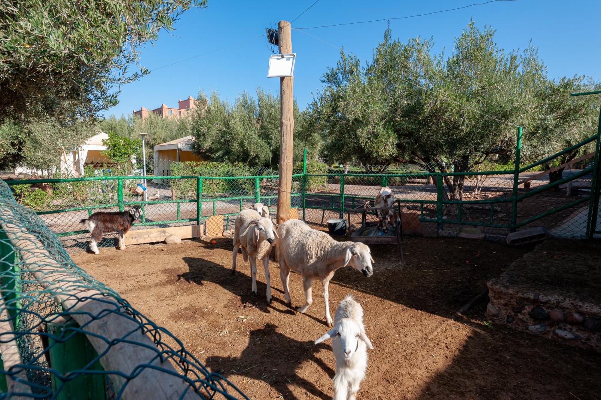 Ferme Sidi Safou & Spa Villa Маракеш Екстериор снимка