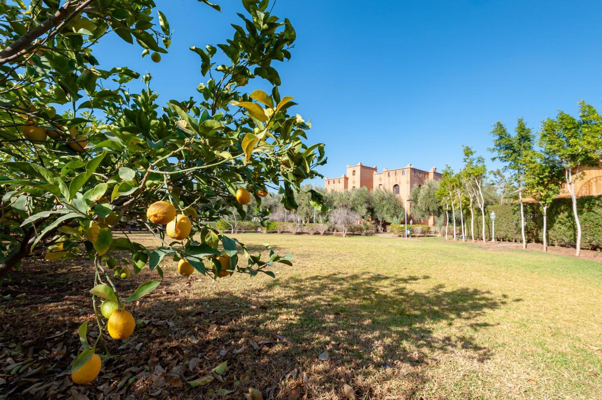 Ferme Sidi Safou & Spa Villa Маракеш Екстериор снимка