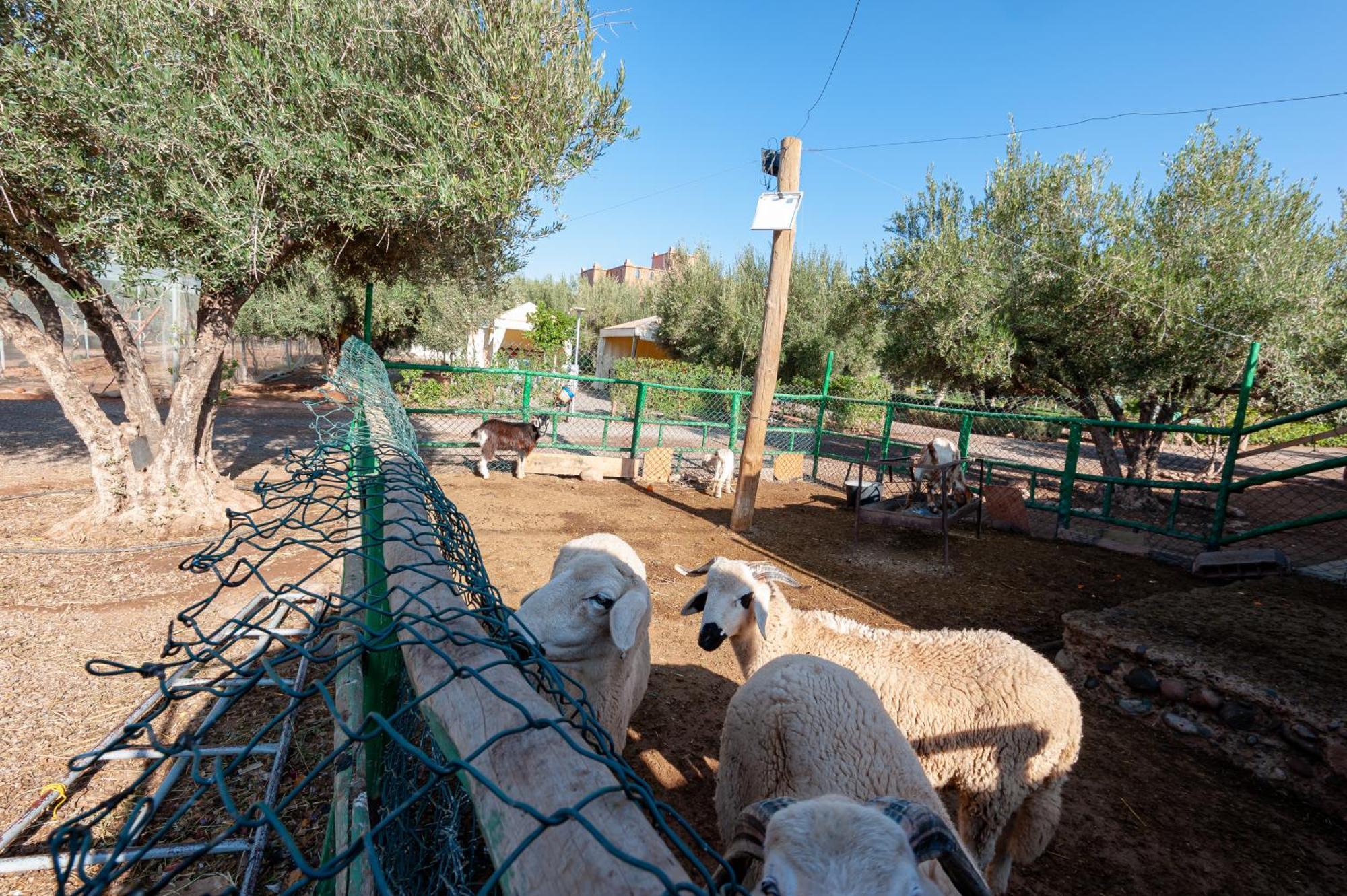 Ferme Sidi Safou & Spa Villa Маракеш Екстериор снимка